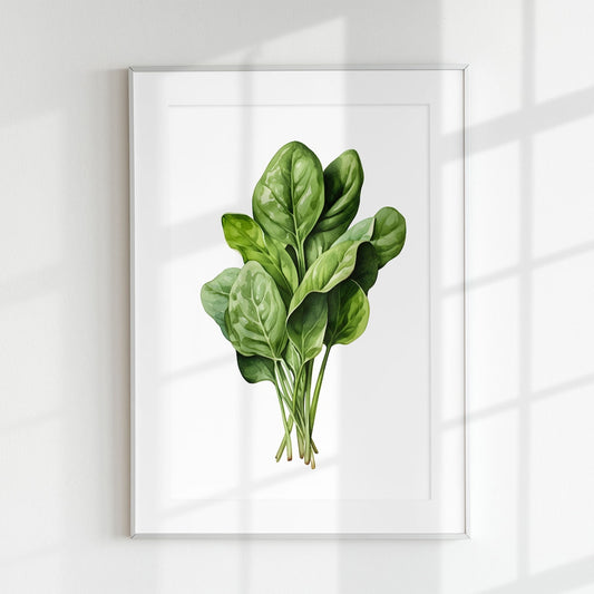 Spinach Print Vegetable Food Poster Healthy Wall Art Decoration Botanical Vintage Minimal Poster Cooking Kitchen Greens Salad, Unframed
