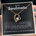 Load image into Gallery viewer, To My Soulmate Forever Love Necklace
